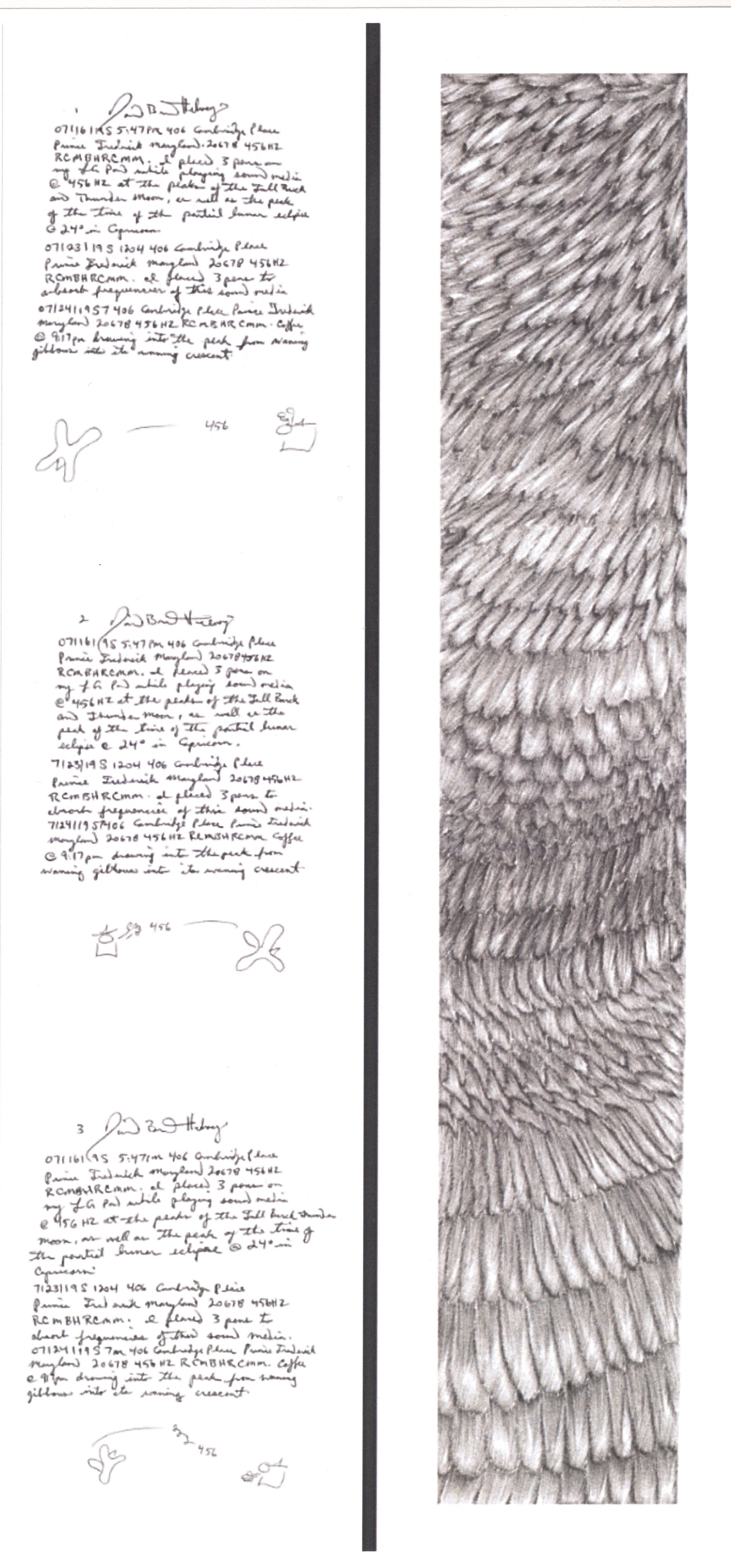 The Abstract Wing — Limited Edition Print